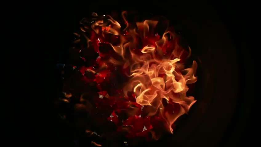 The Biryani Chef photo 2