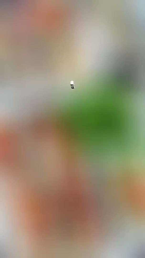 Mashawee Lebanese Grill photo 2